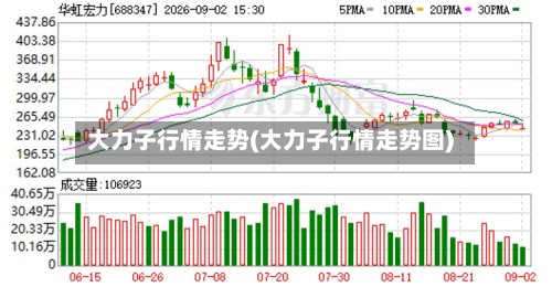 大力子行情走势(大力子行情走势图)