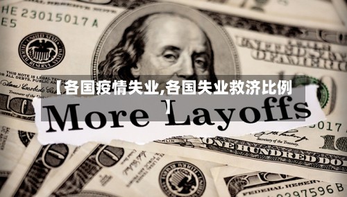 【各国疫情失业,各国失业救济比例】-第2张图片