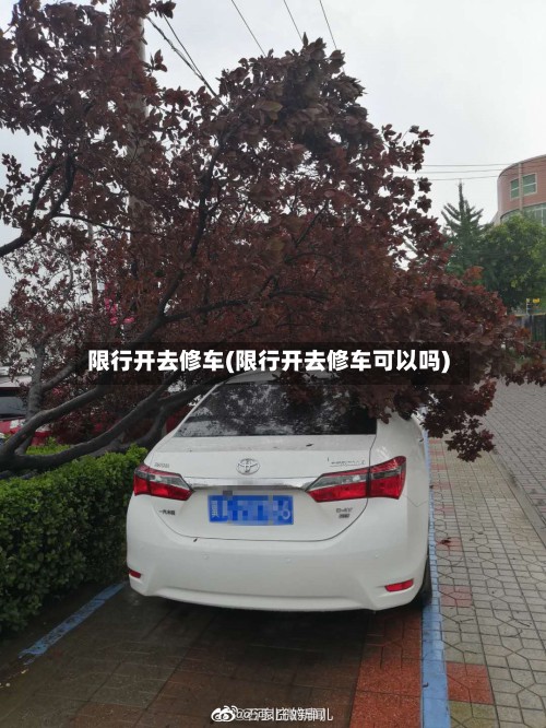 限行开去修车(限行开去修车可以吗)