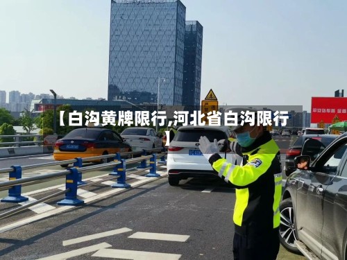 【白沟黄牌限行,河北省白沟限行】-第3张图片