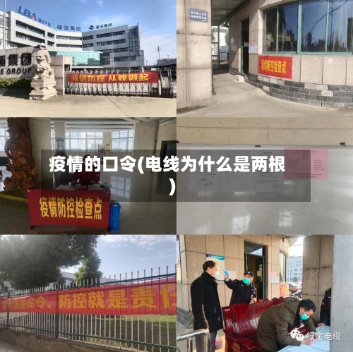 疫情的口令(电线为什么是两根)
