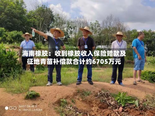 海南橡胶:收到橡胶收入保险赔款及征地青苗补偿款合计约6705万元-第2张图片