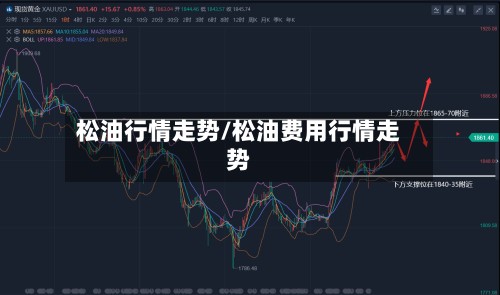松油行情走势/松油费用行情走势
