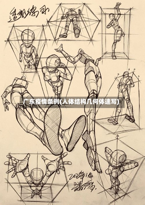 广东疫情条例(人体结构几何体速写)