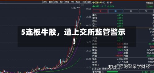 5连板牛股，遭上交所监管警示！