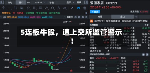 5连板牛股，遭上交所监管警示！-第2张图片