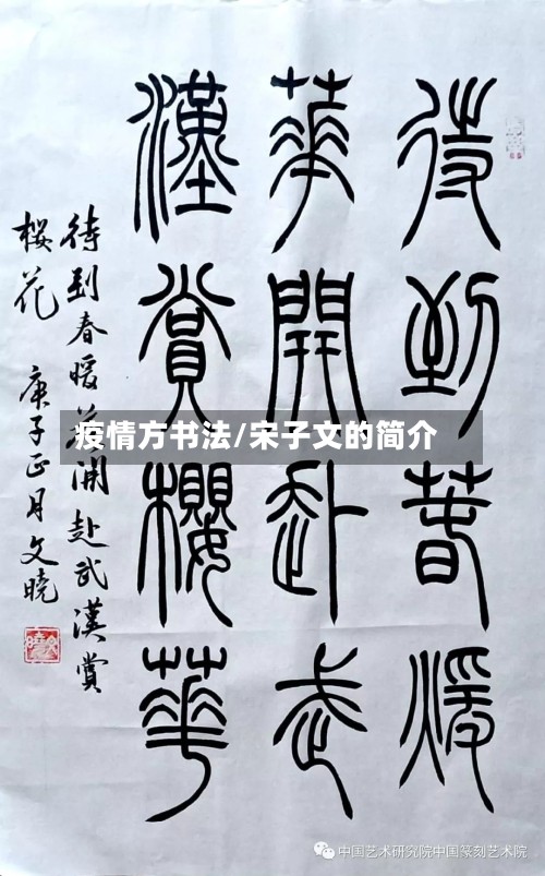 疫情方书法/宋子文的简介