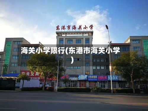 海关小学限行(东港市海关小学)
