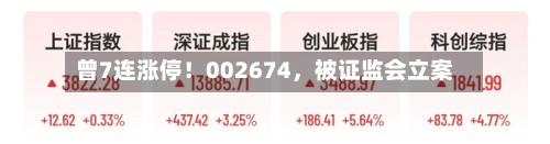 曾7连涨停！002674，被证监会立案-第2张图片