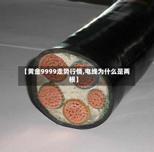 【黄金9999走势行情,电线为什么是两根】