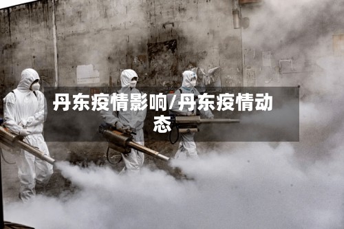 丹东疫情影响/丹东疫情动态-第3张图片
