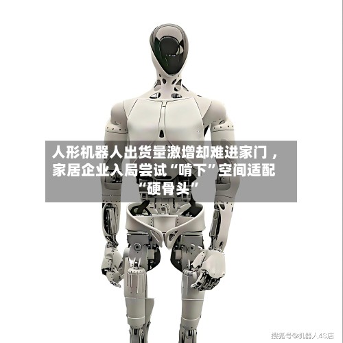 人形机器人出货量激增却难进家门 ，家居企业入局尝试“啃下”空间适配“硬骨头	”-第2张图片
