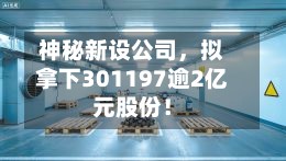 神秘新设公司，拟拿下301197逾2亿元股份！-第2张图片