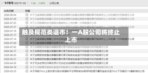 触及规范类退市！一A股公司将终止上市-第2张图片