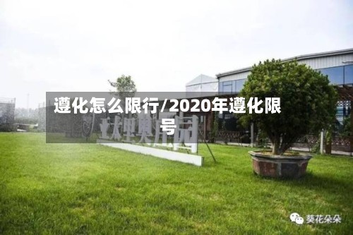 遵化怎么限行/2020年遵化限号