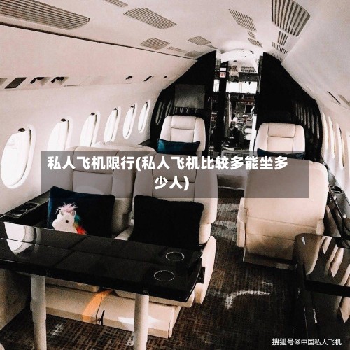 私人飞机限行(私人飞机比较多能坐多少人)-第2张图片