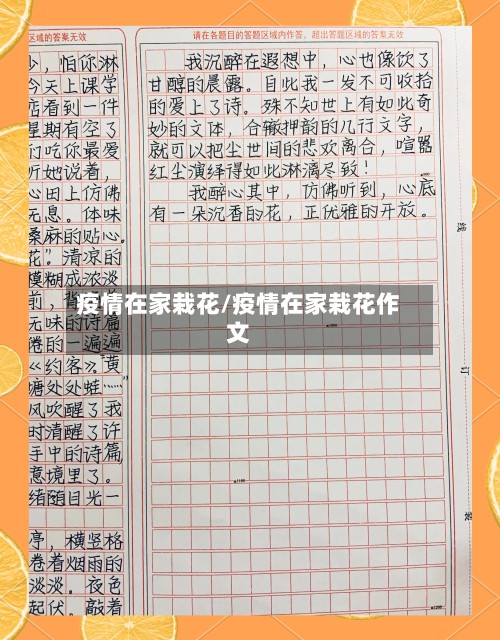 疫情在家栽花/疫情在家栽花作文
