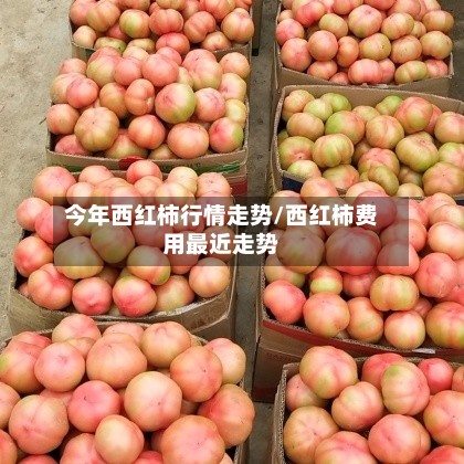 今年西红柿行情走势/西红柿费用最近走势