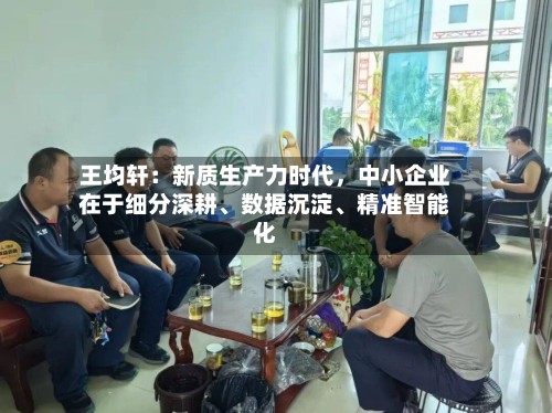 王均轩：新质生产力时代，中小企业在于细分深耕、数据沉淀	、精准智能化-第3张图片