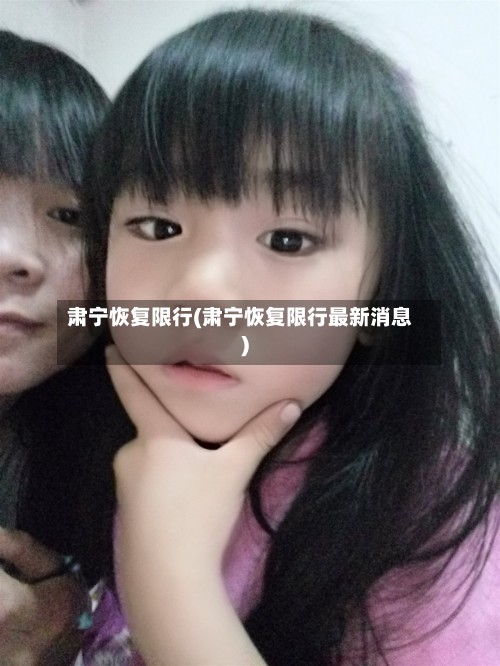 肃宁恢复限行(肃宁恢复限行最新消息)