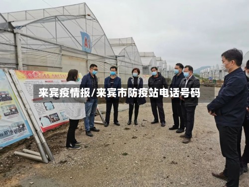 来宾疫情报/来宾市防疫站电话号码